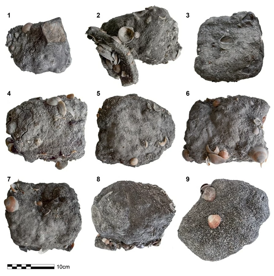 Israel: Kho báu sắt 2.600 năm tuổi dưới đáy biển Carmel Israel: Kho báu sắt 2.600 năm tuổi dưới đáy biển Carmel