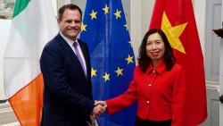 Thứ trưởng Ngoại giao Lê Thị Thu Hằng tham vấn chính trị, thăm và làm việc tại Ireland
