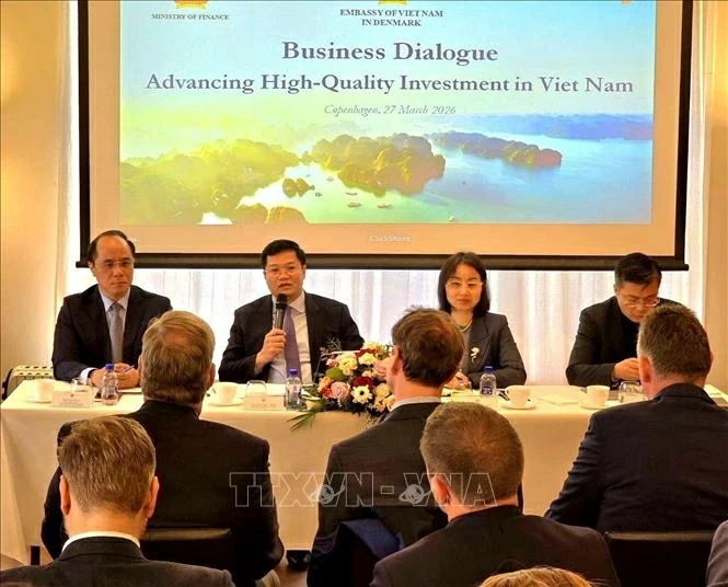 Việt Nam kêu gọi nguồn đầu tư chất lượng cao từ Đan Mạch