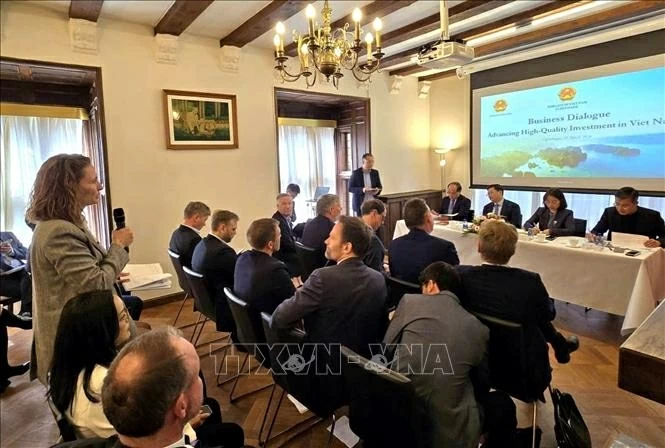 Việt Nam kêu gọi nguồn đầu tư chất lượng cao từ Đan Mạch
