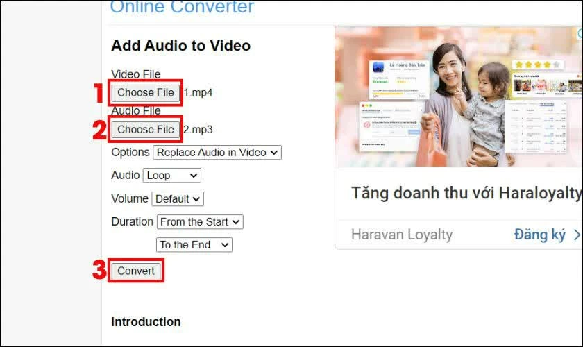 Nhấn Choose File ở hai mục Video file và Audio file.
