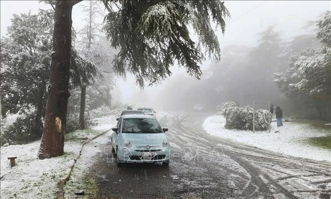 Algeria đón tuyết rơi trái mùa do biến đổi khí hậu