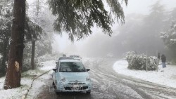 Algeria bất ngờ đón tuyết rơi giữa mùa Xuân