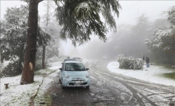 Algeria bất ngờ đón tuyết rơi giữa mùa Xuân