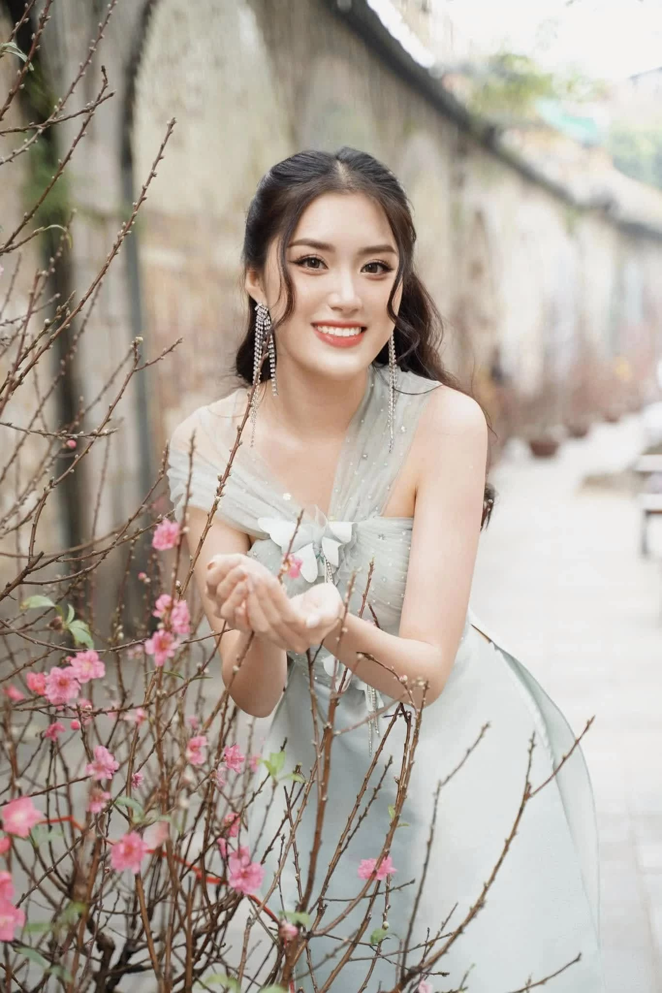 Nhan sắc Hoa hậu Phan Phương Oanh