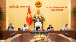 Chiều 1/4, sẽ diễn ra Phiên họp thứ 56 của Ủy ban Thường vụ Quốc hội khóa XV
