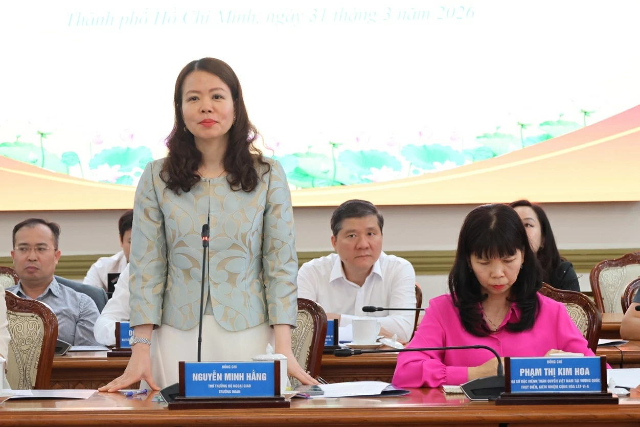 Thứ trưởng Ngoại giao Nguyễn Minh Hằng ph&aacute;t biểu tại buổi l&agrave;m việc.