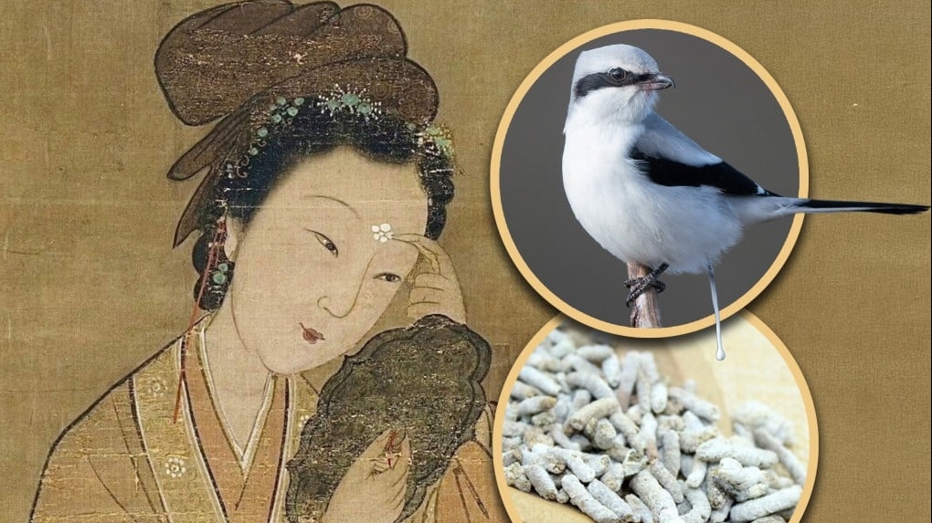 Từ Hi Thái Hậu đã dùng bí quyết làm đẹp này và giờ, nhiều phụ nữ đang học theo