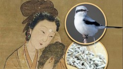 Từ Hi Thái Hậu đã dùng bí quyết làm đẹp này và giờ, nhiều phụ nữ đang học theo