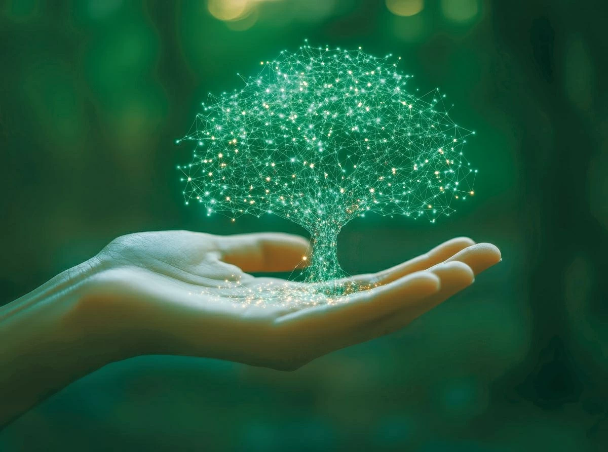 3. Số 14(V): Hợp tác Mekong - Lan Thương: Một thập kỷ và hơn thế nữa 3. Số 14(V): Hợp tác Mekong - Lan Thương: Một thập kỷ và hơn thế nữa