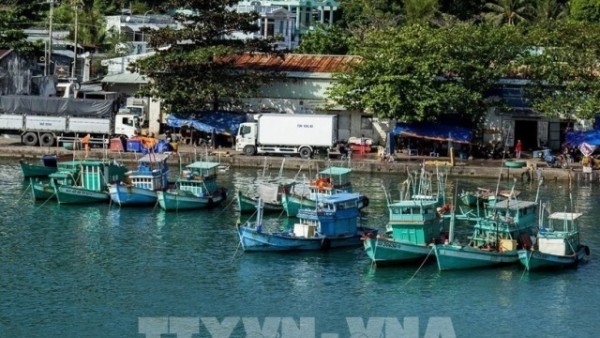 Combat IUU Fishing: An Giang steps up action in line with EC recommendations