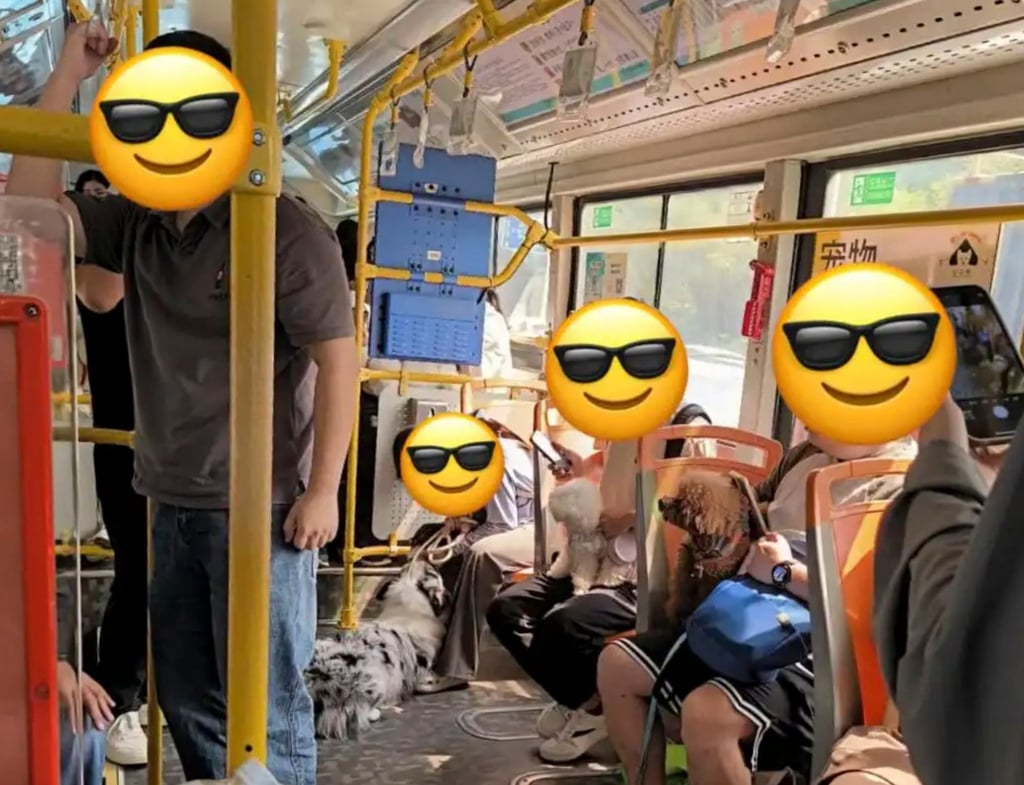 Có cơ hội, hãy trải nghiệm xe buýt giải trí ở Trung Quốc