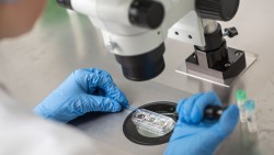 Dùng Trí tuệ nhân tạo đẩy nhanh tiến độ thụ tinh ống nghiệm