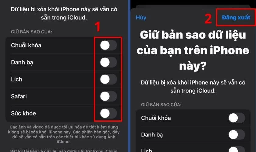 Chọn các dữ liệu bạn muốn giữ lại bản sao trên iPhone.
