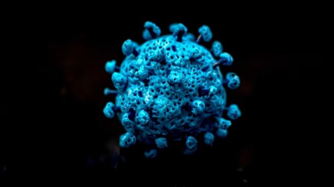 Virus Covid-19 biến thể ve sầu: Trẻ em dễ bị nhiễm bệnh hơn người lớn