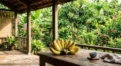 Bí quyết ăn chuối để giảm cân và tăng năng lượng