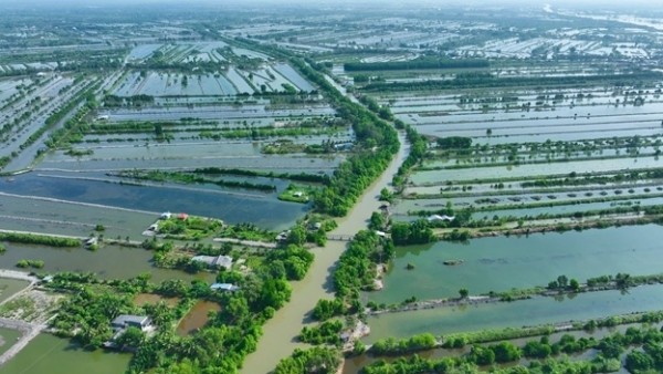 Cà Mau ‘chuyển mình’ thích ứng khí hậu, bảo vệ sinh kế cho cộng đồng ven biển