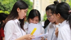 Chọn ngành học giữa 'biển' thông tin: Khi hiểu biết vẫn còn thiếu một nhịp