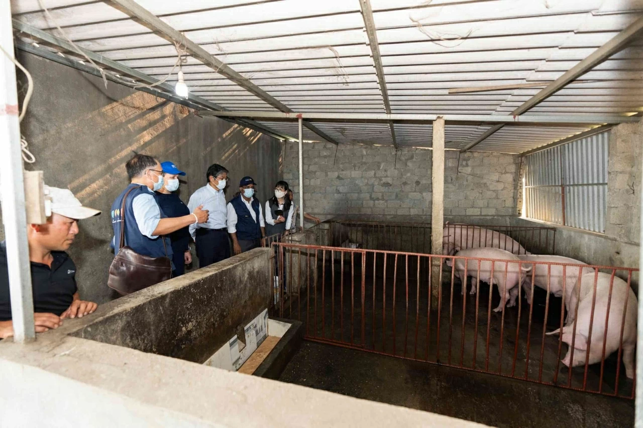 Đại sứ quán Nhật Bản, IOM và FAO thúc đẩy hợp tác về Sáng kiến 'Một sức khỏe' và tăng cường khả năng chống chịu của cộng đồng Đại sứ quán Nhật Bản, IOM và FAO thúc đẩy hợp tác về Sáng kiến 'Một sức khỏe' và tăng cường khả năng chống chịu của cộng đồng