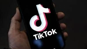 Cách chỉnh bong bóng trò chuyện TikTok thành hình con vật đơn giản.