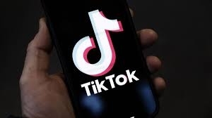 Cách chỉnh bong bóng trò chuyện TikTok thành hình con vật đơn giản