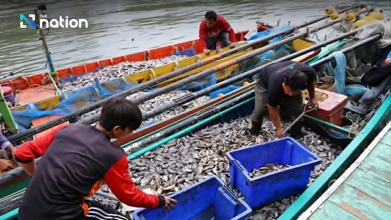 Ngành đánh bắt Thái Lan cảnh báo 70% tàu cá có thể phải ngừng hoạt động do giá nhiên liệu tăng. (Nguồn: thenation)