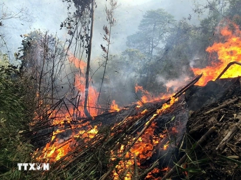 Cảnh báo cháy rừng cấp nguy hiểm trên cả nước trong tháng 4