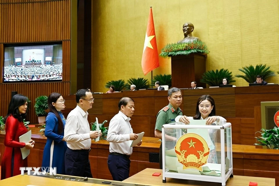 Đại biểu Quốc hội bỏ phiếu.