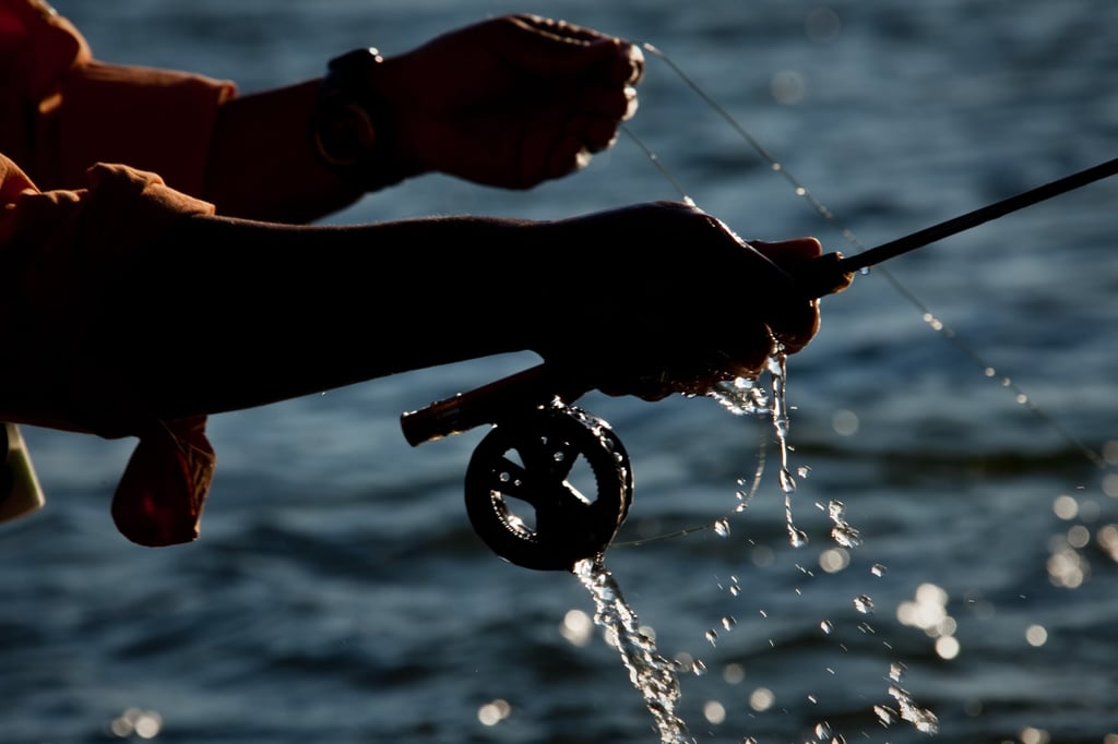 Xu hướng du lịch thế giới năm 2026: Mô hình kỳ nghỉ kỹ năng lên ngôi Xu hướng du lịch thế giới năm 2026: Mô hình kỳ nghỉ kỹ năng lên ngôi