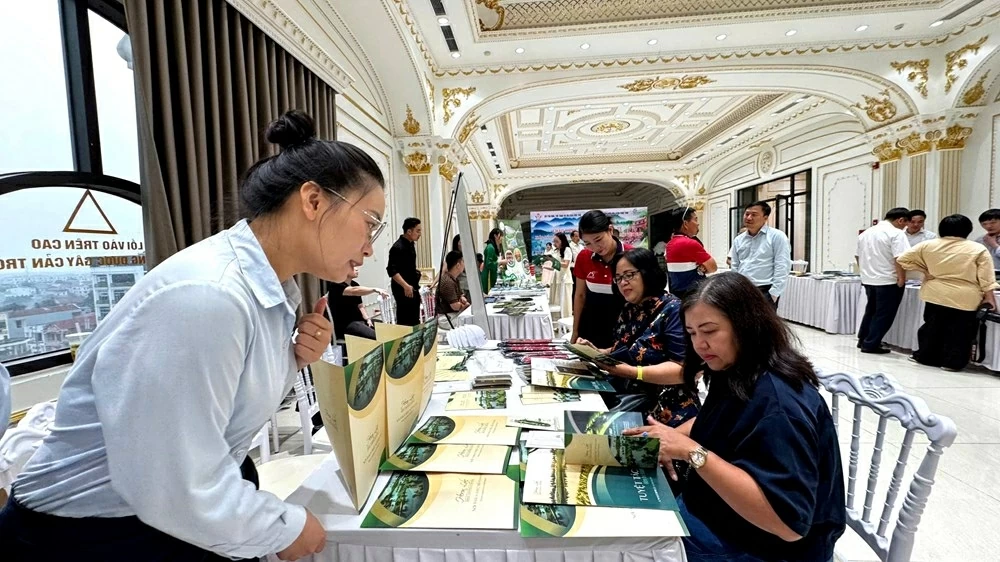 Lữ hành quốc tế tăng cường kết nối qua hành trình famtrip Việt Nam Lữ hành quốc tế tăng cường kết nối qua hành trình famtrip Việt Nam