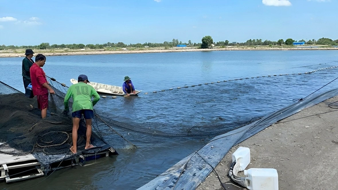 Australia và Việt Nam công bố kết quả vòng 5 Quỹ tài trợ đối tác đổi mới sáng tạo Aus4Innovation nhằm giải quyết các thách thức trong nông nghiệp