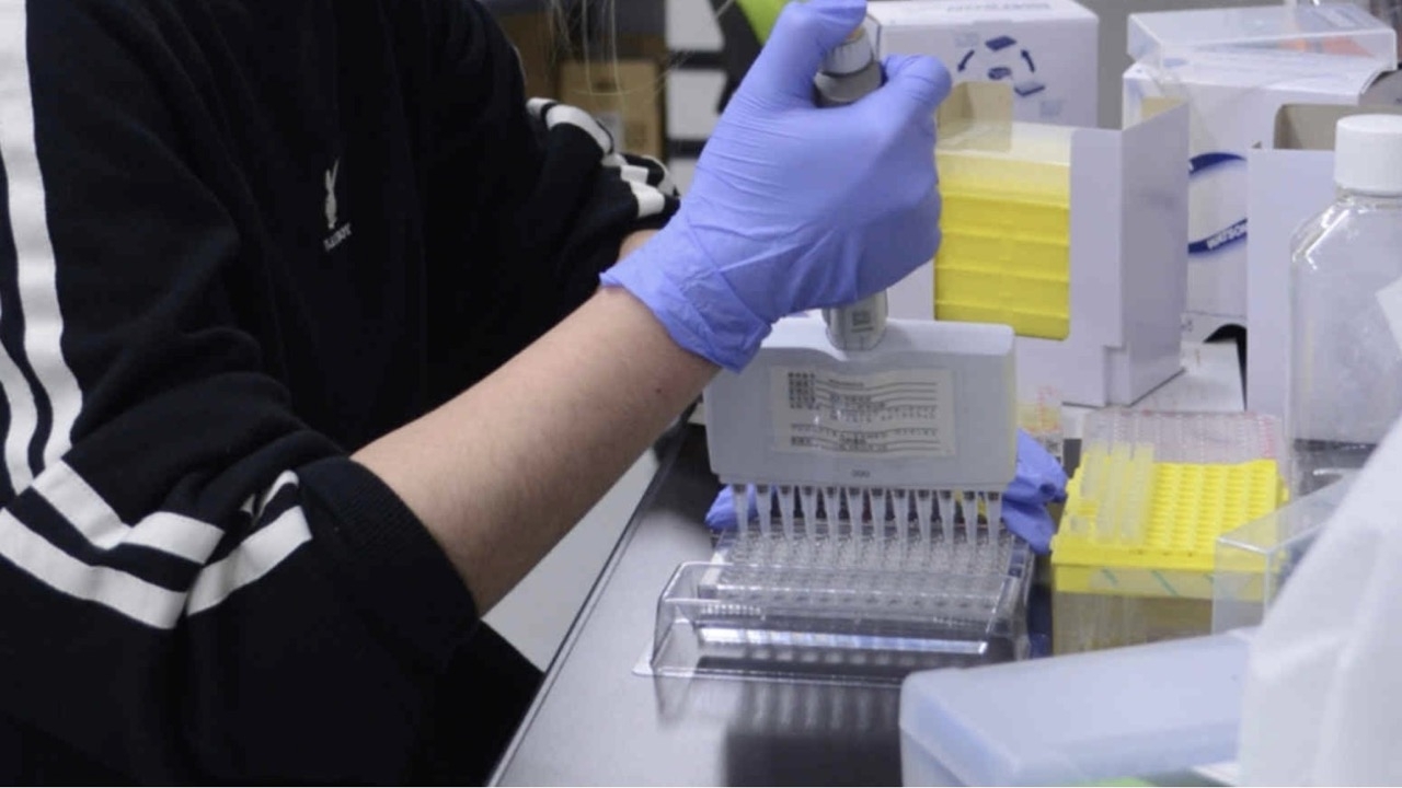 Nhật Bản: Phát triển công cụ chống gián điệp học thuật