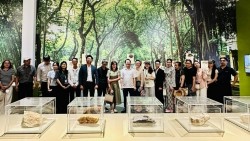 Hà Nội đẩy mạnh liên kết, làm mới sản phẩm du lịch tiêu biểu của Thủ đô