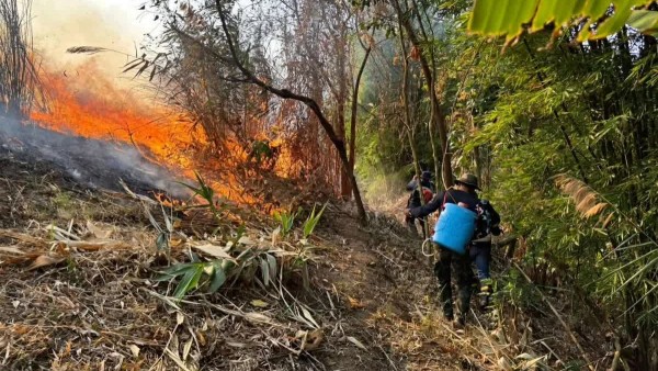 Thái Lan phát hiện hơn 5.000 tâm điểm cháy, cảnh báo nguy cơ cháy rừng lan rộng