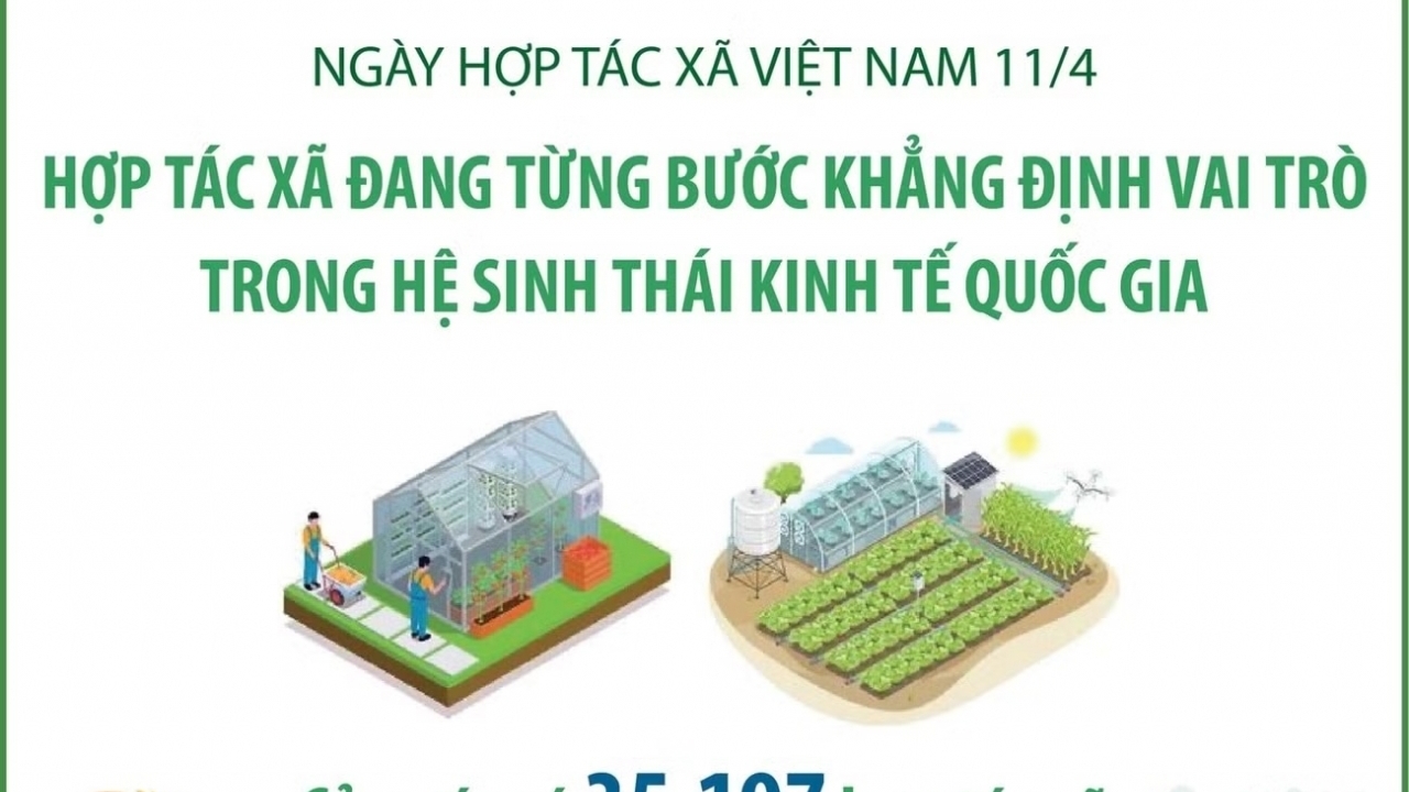 Hợp tác xã đang từng bước khẳng định vai trò trong hệ sinh thái kinh tế quốc gia