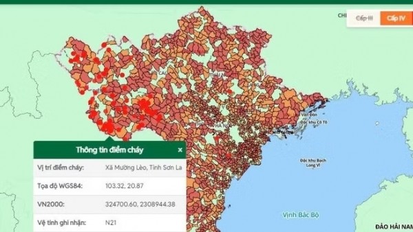 Nắng nóng gay gắt, nguy cơ cháy rừng ở mức cao