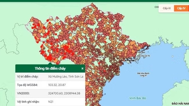 Nắng nóng gay gắt, nguy cơ cháy rừng ở mức cao