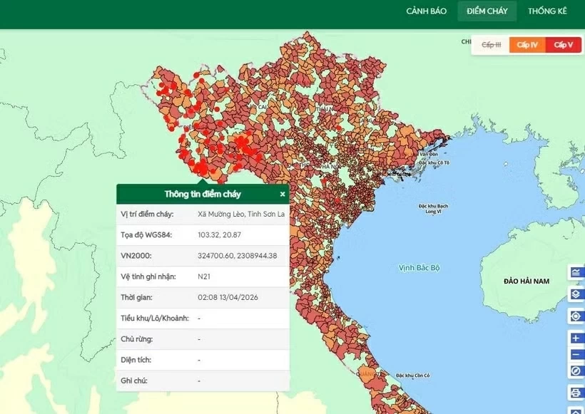 Nắng nóng gay gắt, nguy cơ cháy rừng ở mức cao Nắng nóng gay gắt, nguy cơ cháy rừng ở mức cao