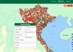 Nắng nóng gay gắt, nguy cơ cháy rừng ở mức cao