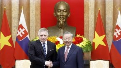 Tổng Bí thư, Chủ tịch nước Tô Lâm tiếp Thủ tướng Slovakia Robert Fico