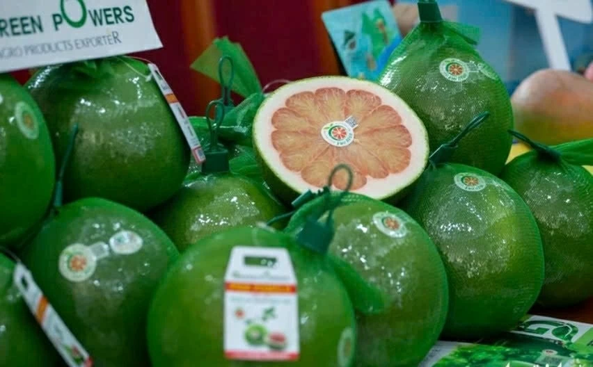 Bưởi da xanh Việt Nam lần đầu tiên được xuất khẩu chính ngạch sang Australia