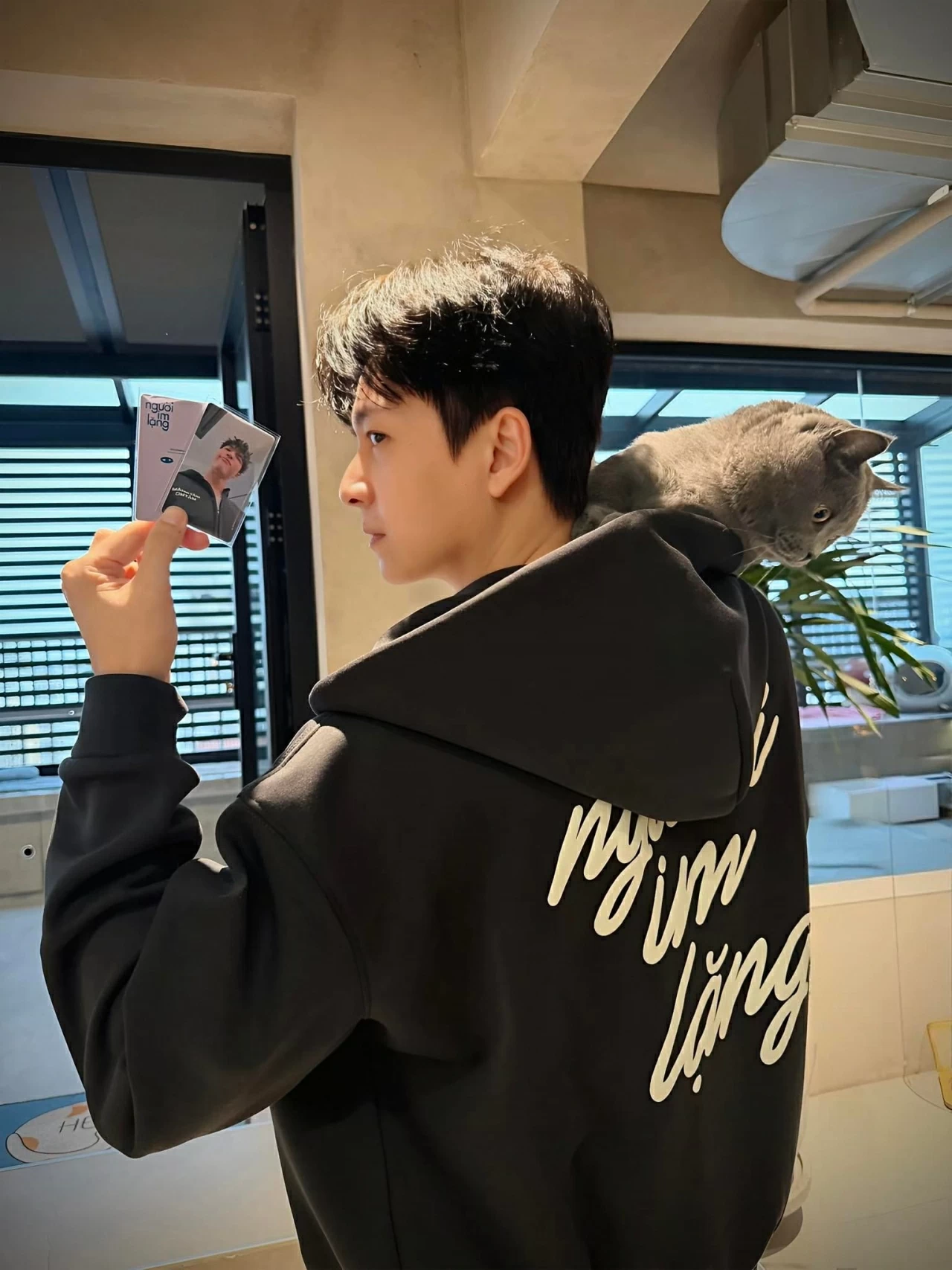 Sao Việt: Sao Việt: