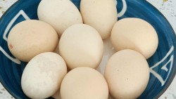 Tại sao người lớn tuổi nên ăn một quả trứng vào bữa sáng?