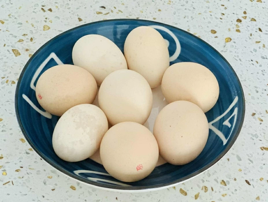 Tại sao người lớn tuổi nên ăn một quả trứng vào bữa sáng? Tại sao người lớn tuổi nên ăn một quả trứng vào bữa sáng?