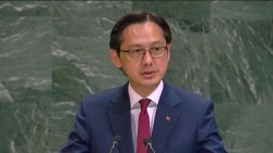 Việt Nam kêu gọi chấm dứt xung đột, bảo vệ an ninh hàng hải và thúc đẩy đối thoại nhằm giải quyết khủng hoảng tại Trung Đông