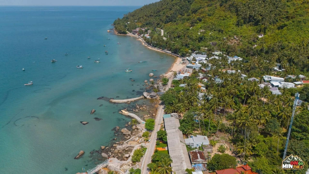 Địa điểm du lịch miền Nam dịp 30/4-1/5 đẹp, hái quả mọc chi chít, ăn hải sản rẻ