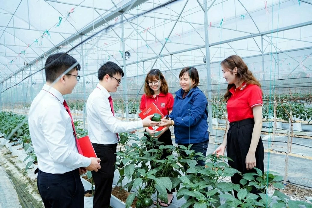 Lan tỏa dòng vốn giá rẻ, Agribank tạo động lực mới cho tăng trưởng Lan tỏa dòng vốn giá rẻ, Agribank tạo động lực mới cho tăng trưởng