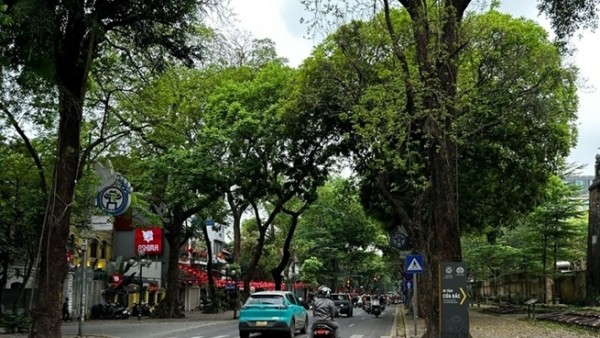 Miền Bắc đón không khí lạnh yếu, trời chuyển mát từ ngày 23/4