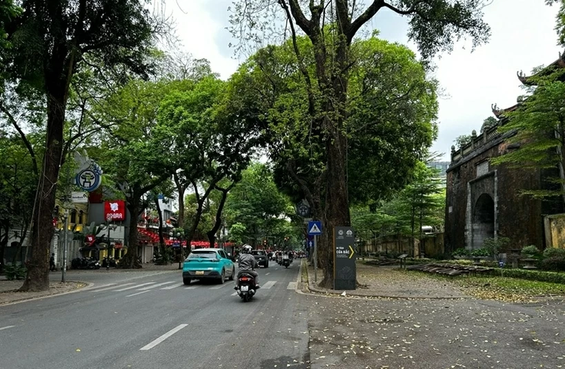 Miền Bắc đón không khí lạnh yếu, trời chuyển mát từ ngày 23/4