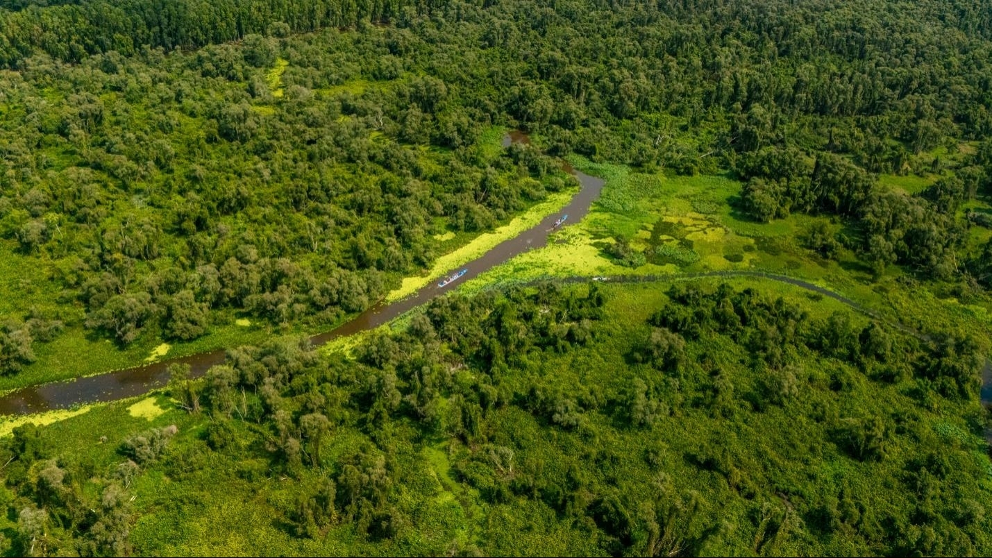 Trà Sư: Hơn cả những sắc xanh